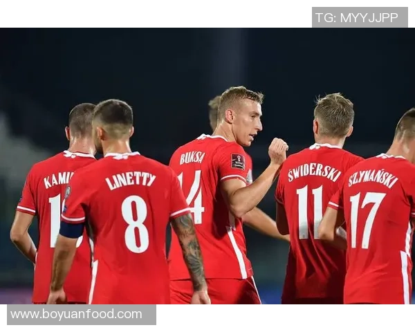 世界杯预选赛精彩对决土耳其迎战保加利亚列支敦士登挑战威尔士